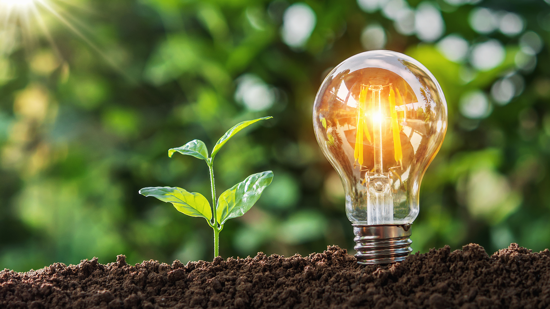 mooc-biobased-energy-banner