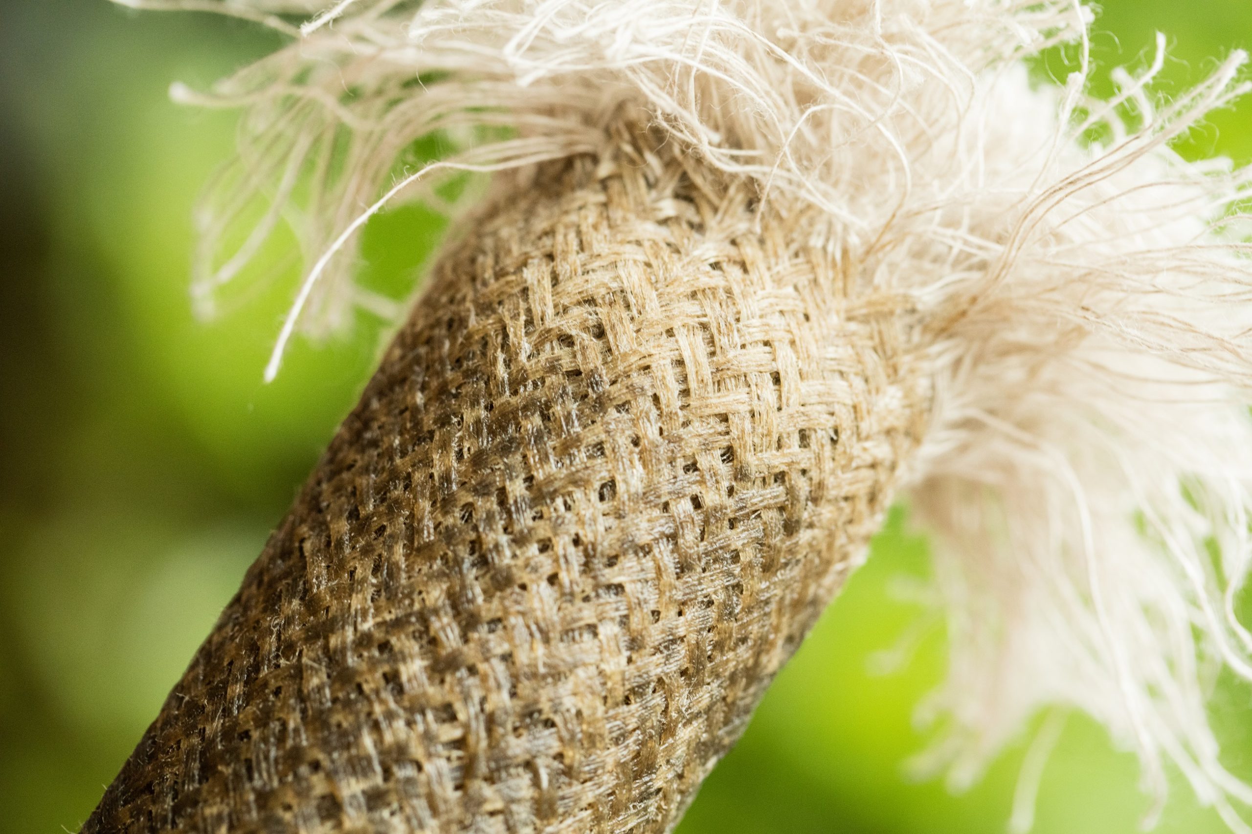 Zap naar biobased bouwen