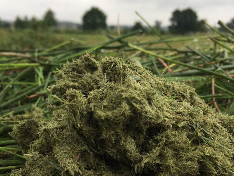 Grasverwaarding