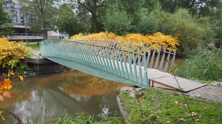Ad Thijssen eindhoven-in-beeld.nl