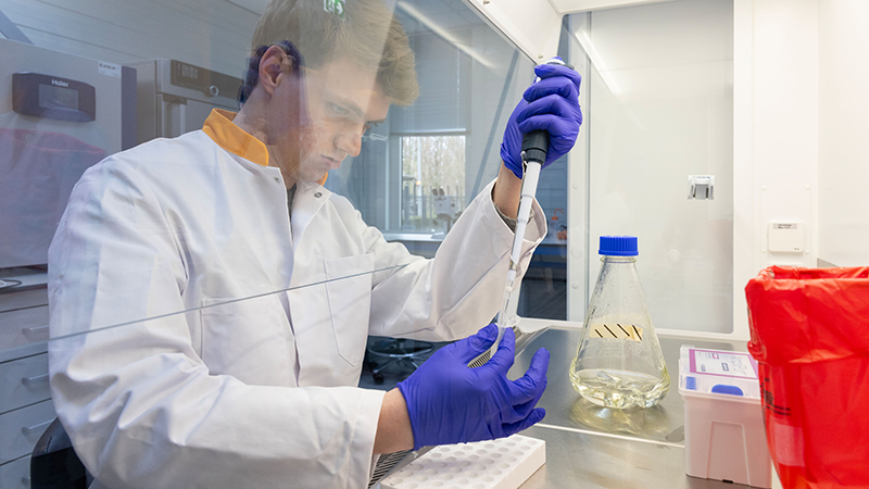 biobased grondstoffen en materialen