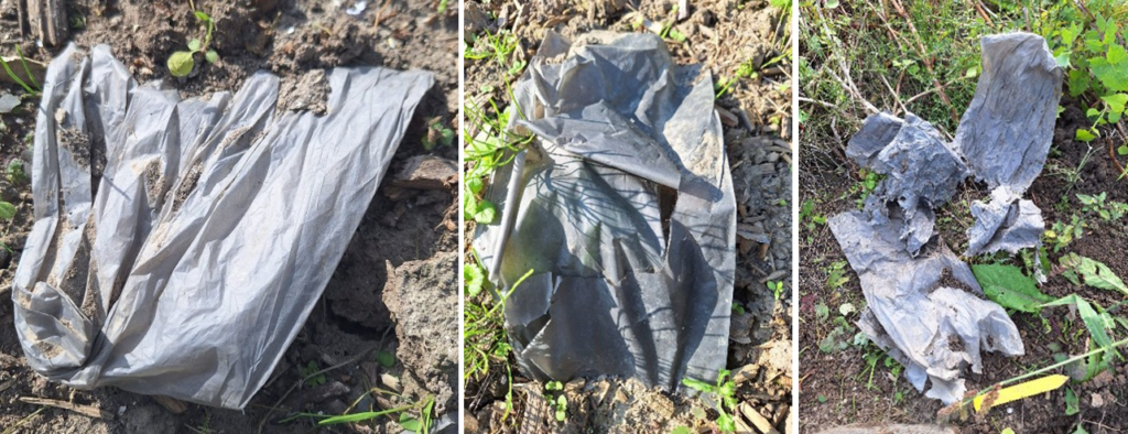 biochar_folie