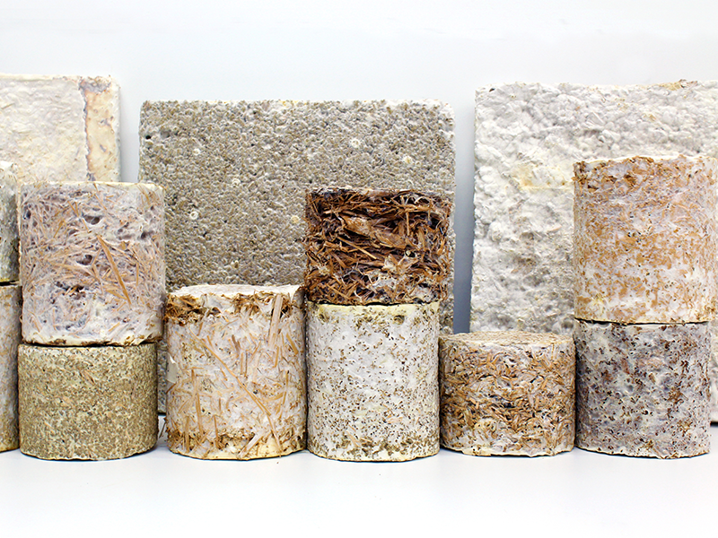Mycelium Cardboard Insulation – Critical Concrete